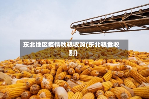 东北地区疫情秋粮收购(东北粮食收割)