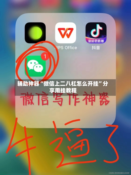辅助神器“微信上二八杠怎么开挂	”分享用挂教程-第2张图片