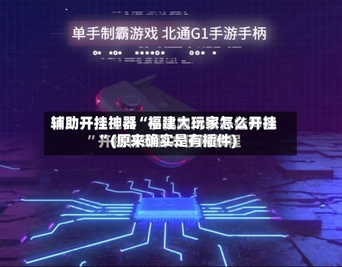 辅助开挂神器“福建大玩家怎么开挂”(原来确实是有插件)