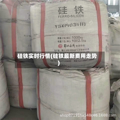 硅铁实时行情(硅铁最新费用走势)