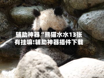 辅助神器“熊猫水水13张有挂嘛!辅助神器插件下载-第3张图片