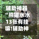 辅助神器“熊猫水水13张有挂嘛!辅助神器插件下载-第2张图片
