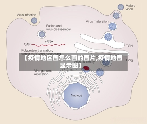 【疫情地区图怎么画的图片,疫情地图显示图】