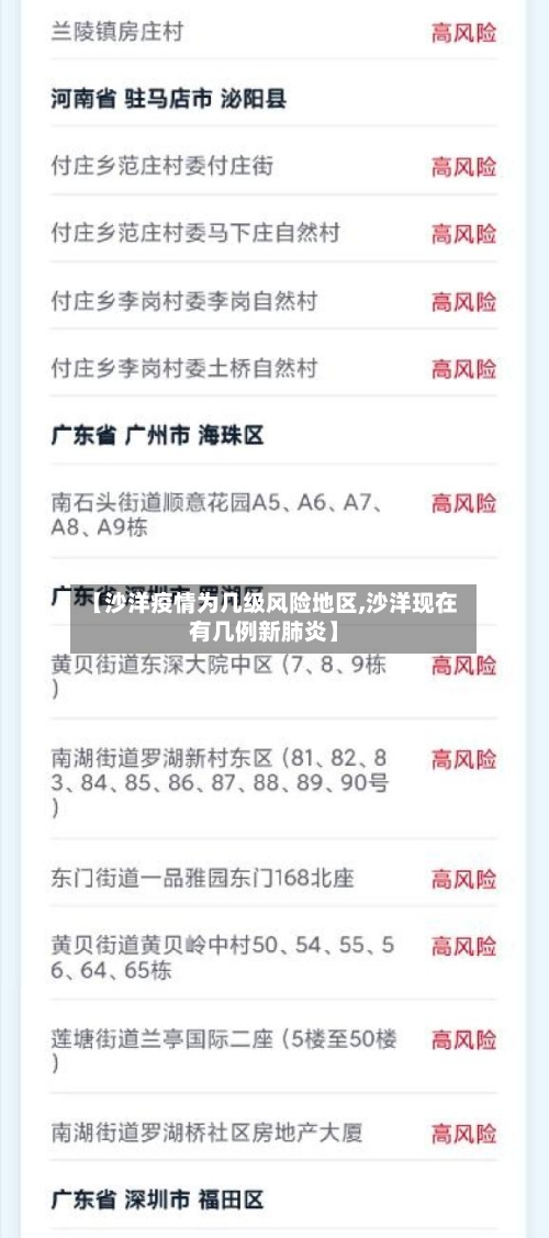 【沙洋疫情为几级风险地区,沙洋现在有几例新肺炎】-第2张图片