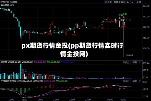 px期货行情金投(pp期货行情实时行情金投网)-第2张图片