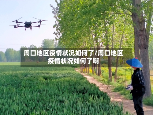 周口地区疫情状况如何了/周口地区疫情状况如何了啊