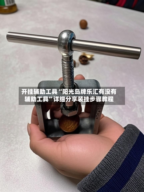 开挂辅助工具“阳光岛牌乐汇有没有辅助工具”详细分享装挂步骤教程