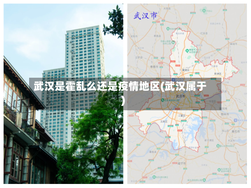武汉是霍乱么还是疫情地区(武汉属于)-第2张图片