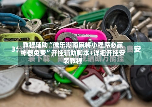 教程辅助“微乐湖南麻将小程序必赢神器免费	”开挂辅助脚本+详细开挂安装教程-第2张图片