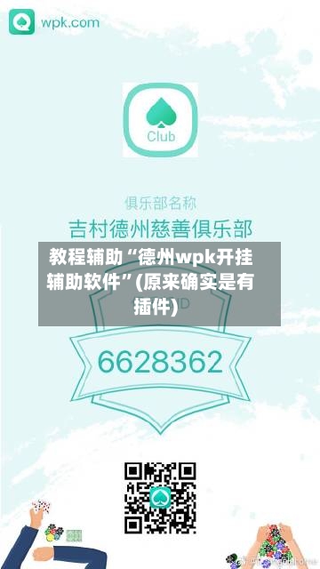 教程辅助“德州wpk开挂辅助软件”(原来确实是有插件)