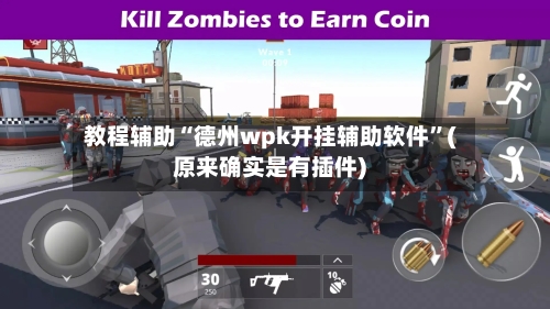 教程辅助“德州wpk开挂辅助软件”(原来确实是有插件)-第2张图片