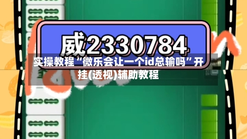 实操教程“微乐会让一个id总输吗”开挂(透视)辅助教程-第2张图片