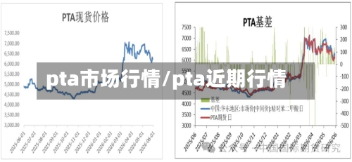 pta市场行情/pta近期行情
