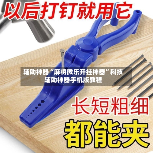 辅助神器“麻将微乐开挂神器	”科技辅助神器手机版教程-第2张图片