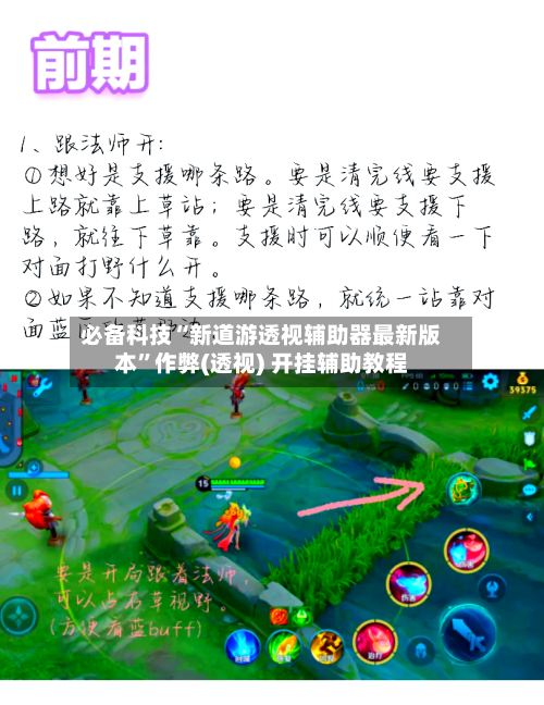 必备科技“新道游透视辅助器最新版本”作弊(透视) 开挂辅助教程