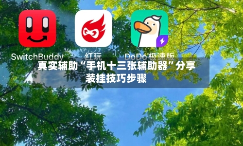 真实辅助“手机十三张辅助器”分享装挂技巧步骤-第2张图片