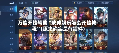 万能开挂辅助“皮球娱乐怎么开挂教程	”(原来确实是有插件)-第2张图片