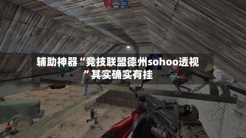 辅助神器“竞技联盟德州sohoo透视”其实确实有挂-第2张图片