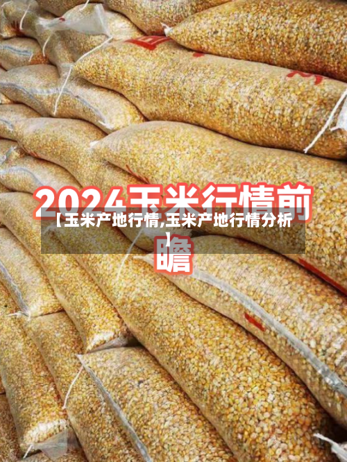 【玉米产地行情,玉米产地行情分析】