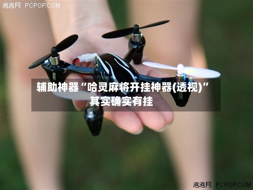 辅助神器“哈灵麻将开挂神器(透视)	”其实确实有挂-第2张图片