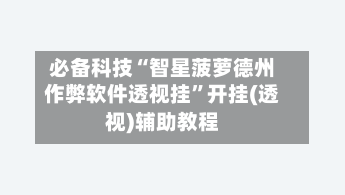 必备科技“智星菠萝德州作弊软件透视挂”开挂(透视)辅助教程-第2张图片
