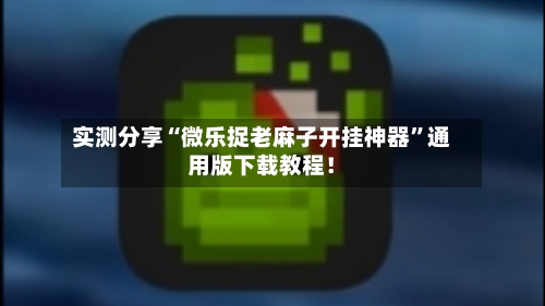 实测分享“微乐捉老麻子开挂神器	”通用版下载教程！-第2张图片