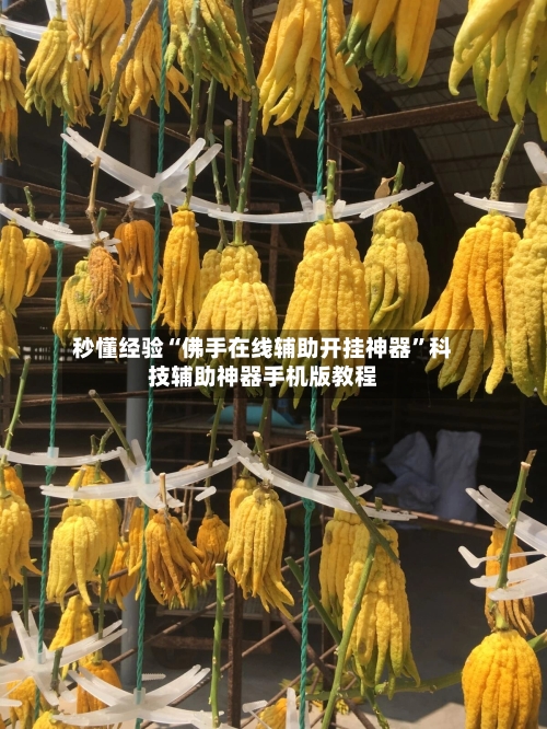 秒懂经验“佛手在线辅助开挂神器”科技辅助神器手机版教程-第2张图片