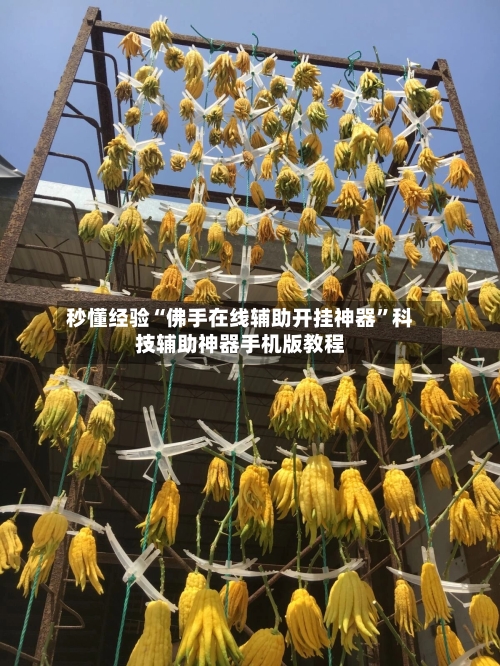 秒懂经验“佛手在线辅助开挂神器”科技辅助神器手机版教程