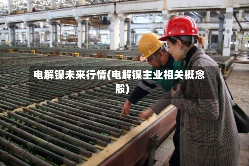 电解镍未来行情(电解镍主业相关概念股)