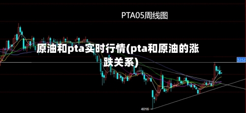 原油和pta实时行情(pta和原油的涨跌关系)-第2张图片