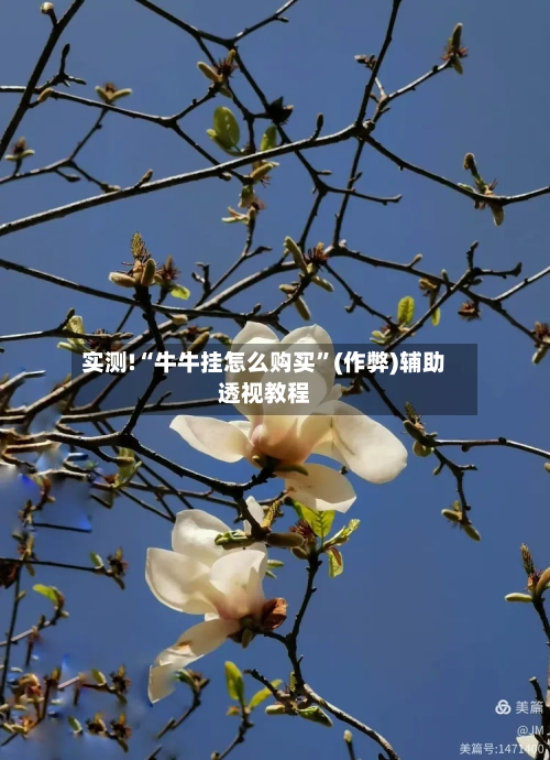 实测!“牛牛挂怎么购买”(作弊)辅助透视教程-第2张图片