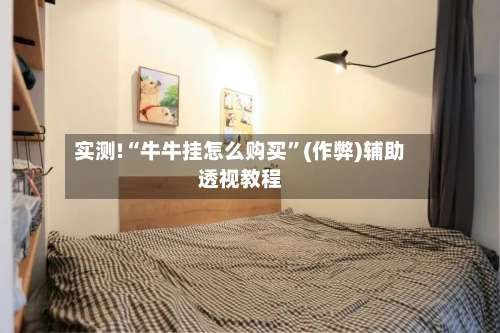 实测!“牛牛挂怎么购买”(作弊)辅助透视教程