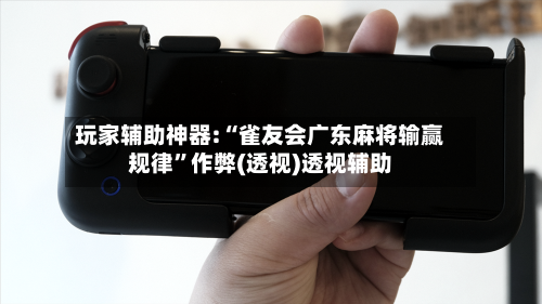 玩家辅助神器:“雀友会广东麻将输赢规律	”作弊(透视)透视辅助-第3张图片
