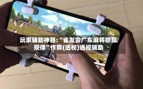 玩家辅助神器:“雀友会广东麻将输赢规律”作弊(透视)透视辅助-第2张图片