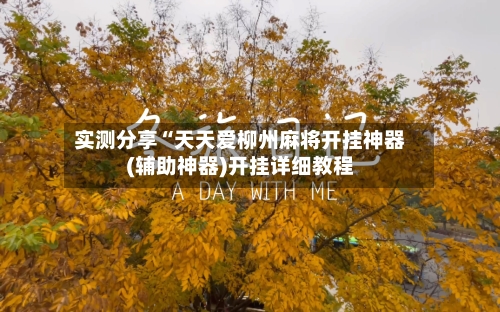实测分享“天天爱柳州麻将开挂神器(辅助神器)开挂详细教程-第3张图片