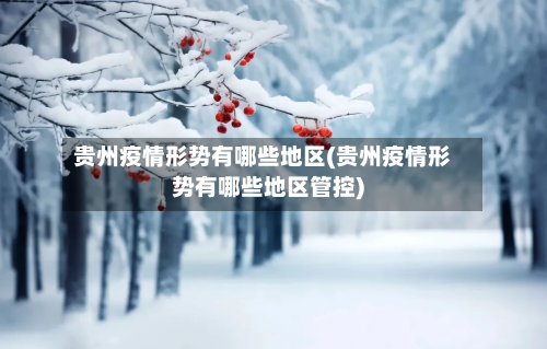贵州疫情形势有哪些地区(贵州疫情形势有哪些地区管控)-第2张图片