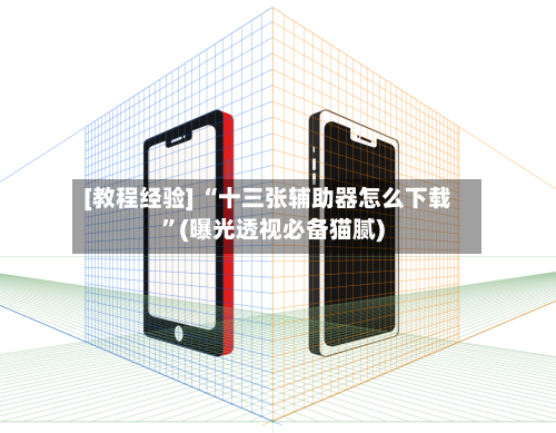 [教程经验] “十三张辅助器怎么下载	”(曝光透视必备猫腻)-第3张图片