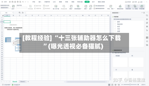 [教程经验] “十三张辅助器怎么下载	”(曝光透视必备猫腻)-第2张图片