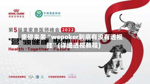 重磅来袭“wepoker到底有没有透视挂”(详细透视教程)-第3张图片