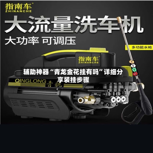 辅助神器“青龙金花挂有吗”详细分享装挂步骤-第2张图片