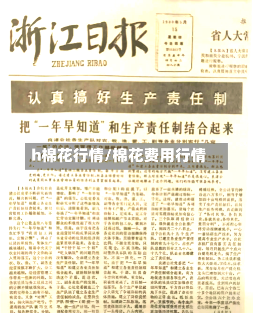 h棉花行情/棉花费用行情-第3张图片