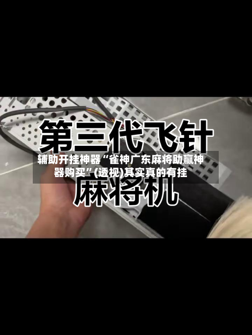 辅助开挂神器“雀神广东麻将助赢神器购买”(透视)其实真的有挂-第2张图片