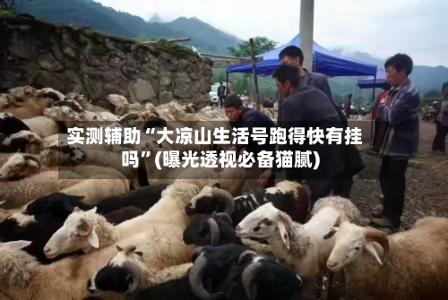 实测辅助“大凉山生活号跑得快有挂吗”(曝光透视必备猫腻)-第2张图片