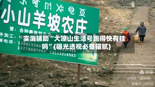 实测辅助“大凉山生活号跑得快有挂吗”(曝光透视必备猫腻)-第3张图片