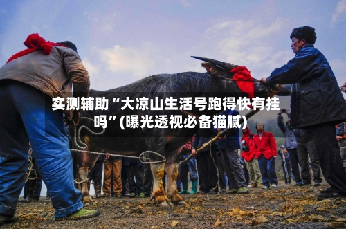 实测辅助“大凉山生活号跑得快有挂吗”(曝光透视必备猫腻)