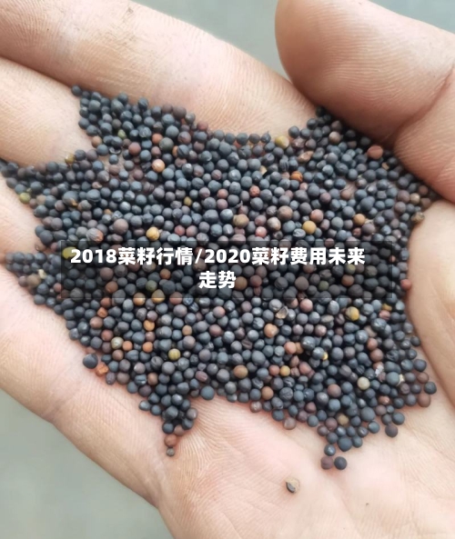 2018菜籽行情/2020菜籽费用未来走势