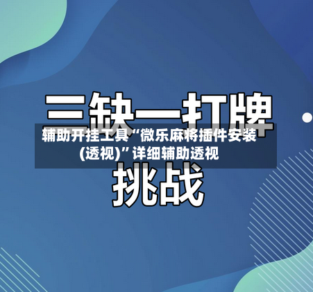辅助开挂工具“微乐麻将插件安装(透视)”详细辅助透视-第2张图片