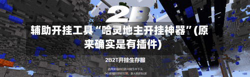 辅助开挂工具“哈灵地主开挂神器”(原来确实是有插件)-第3张图片