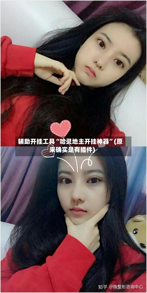 辅助开挂工具“哈灵地主开挂神器	”(原来确实是有插件)-第2张图片