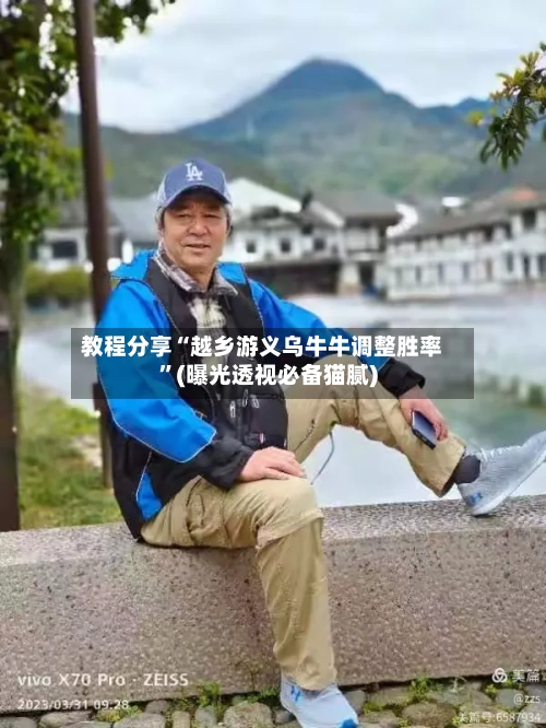 教程分享“越乡游义乌牛牛调整胜率”(曝光透视必备猫腻)-第3张图片